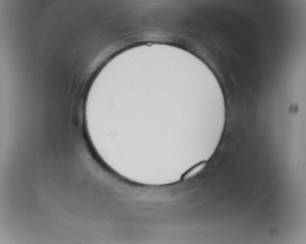 X0000113750011200910211157