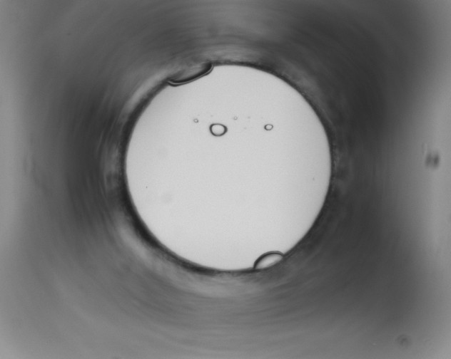 X0000113750012200910211157