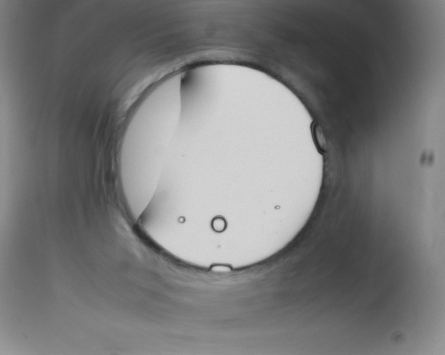 X0000113750015200910211156