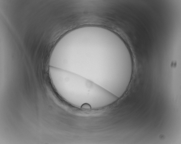 X0000113750017200910211156