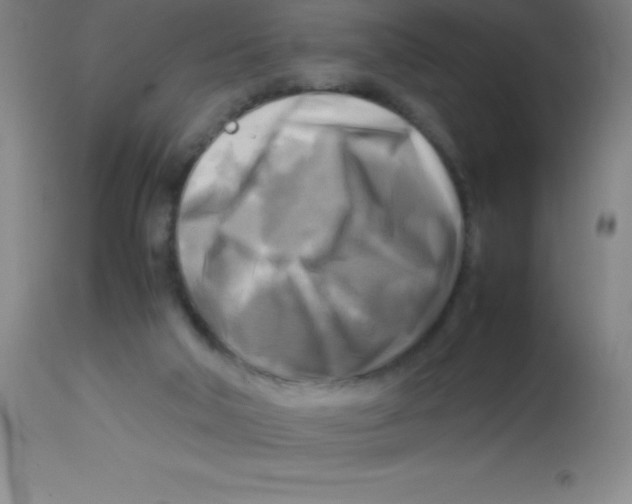 X0000113750018200910211156