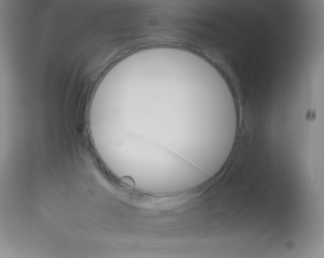 X0000113750021200910211156