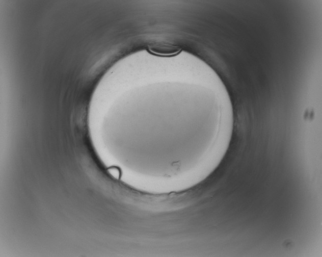 X0000113750023200910211156