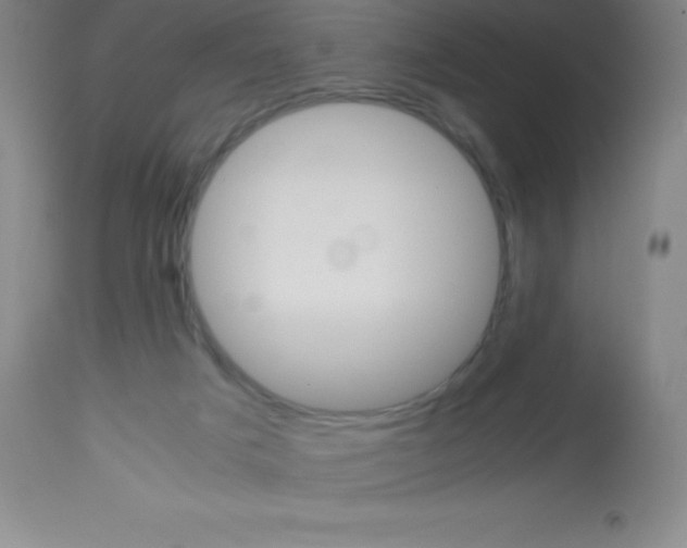 X0000113750025200910211156