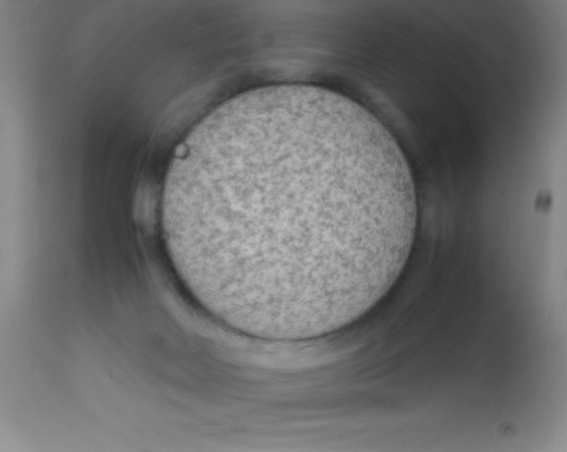 X0000113750026200910211156