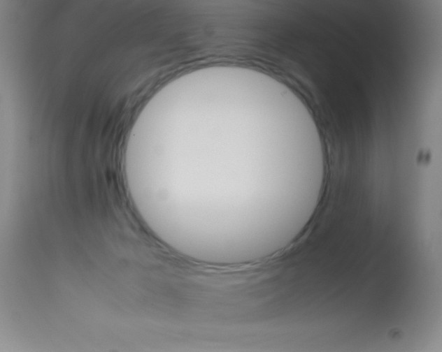 X0000113750029200910211156