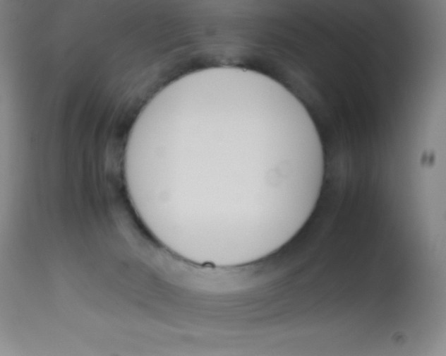 X0000113750030200910211156