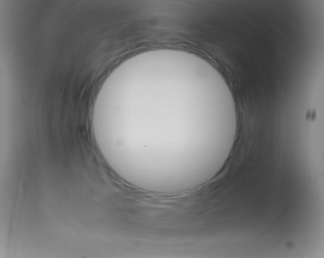 X0000113750033200910211156