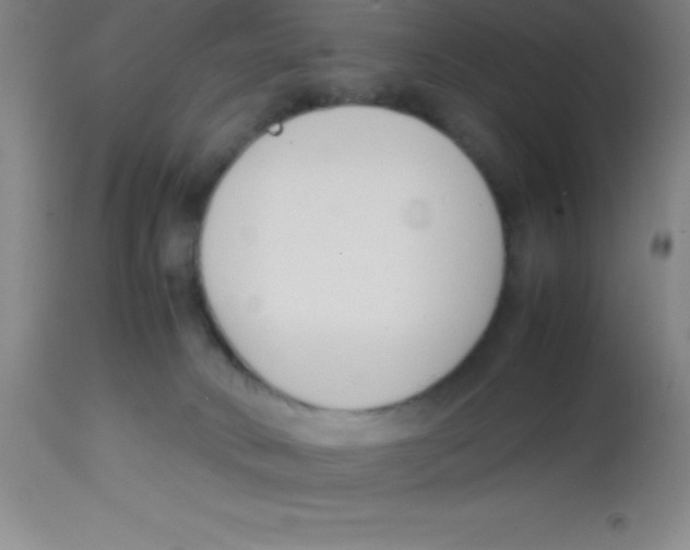 X0000113750034200910211156