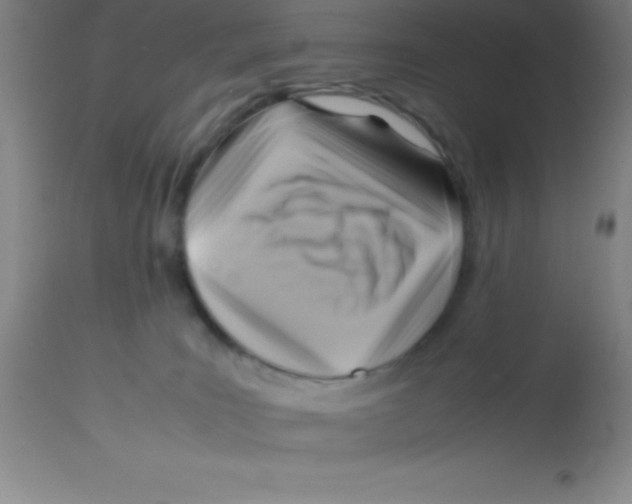 X0000113750035200910211156