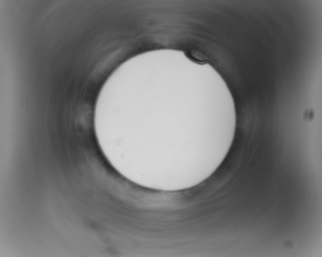 X0000113750036200910211156