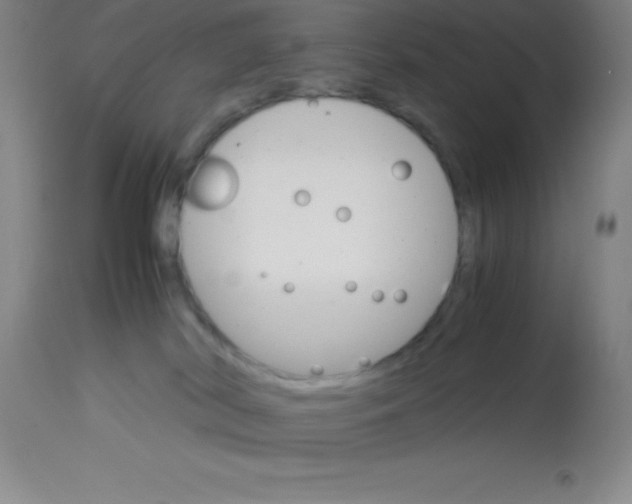 X0000113750038200910211156