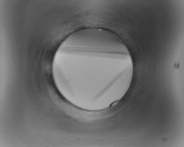 X0000113750039200910211156