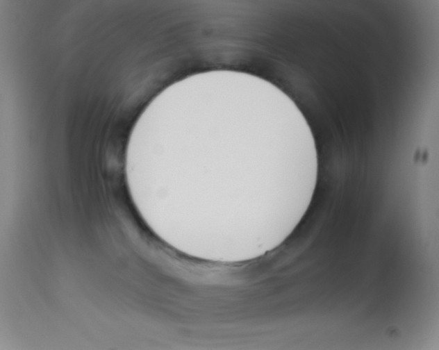 X0000113750040200910211156