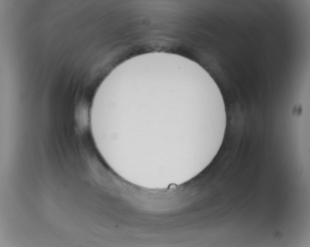 X0000113750042200910211156