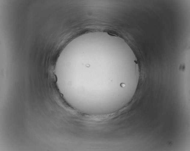 X0000113750045200910211156