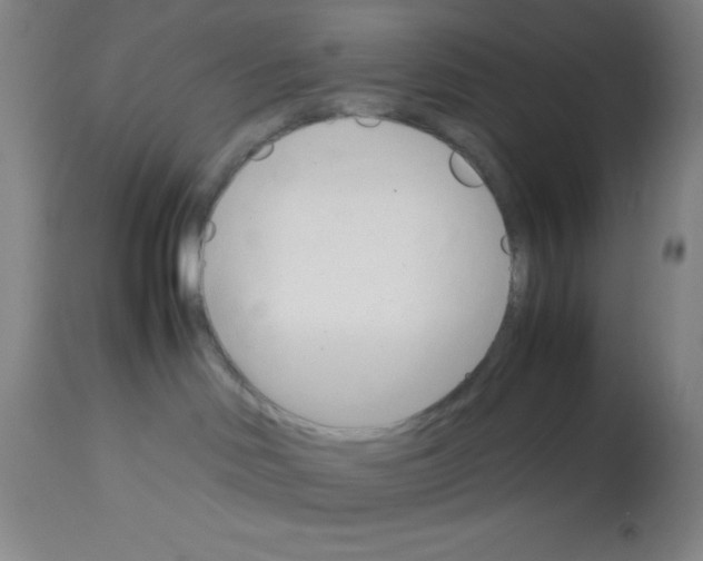 X0000113750046200910211156