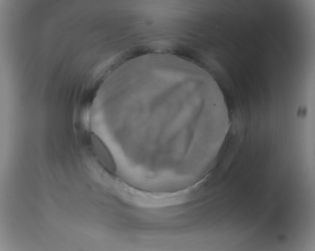 X0000113750047200910211156