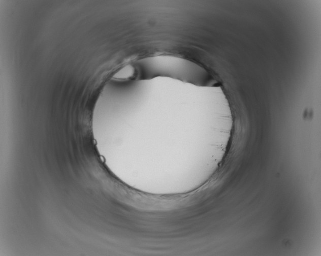 X0000113750048200910211156