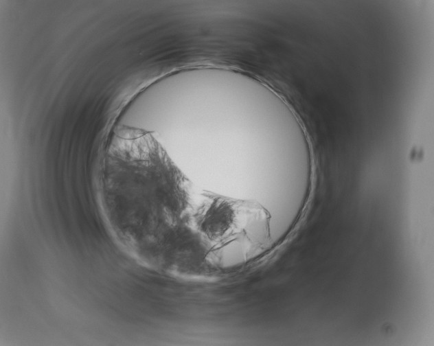 X0000113750049200910211155