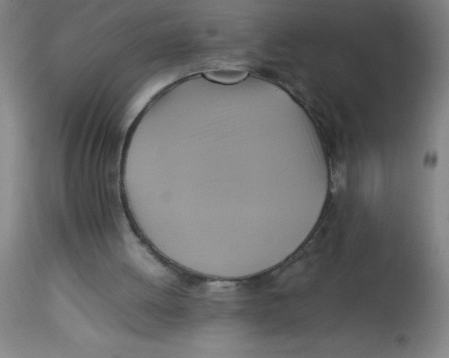 X0000113750052200910211155