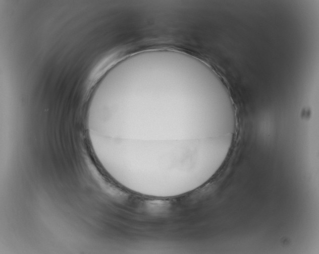 X0000113750053200910211155