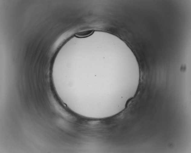 X0000113750054200910211155