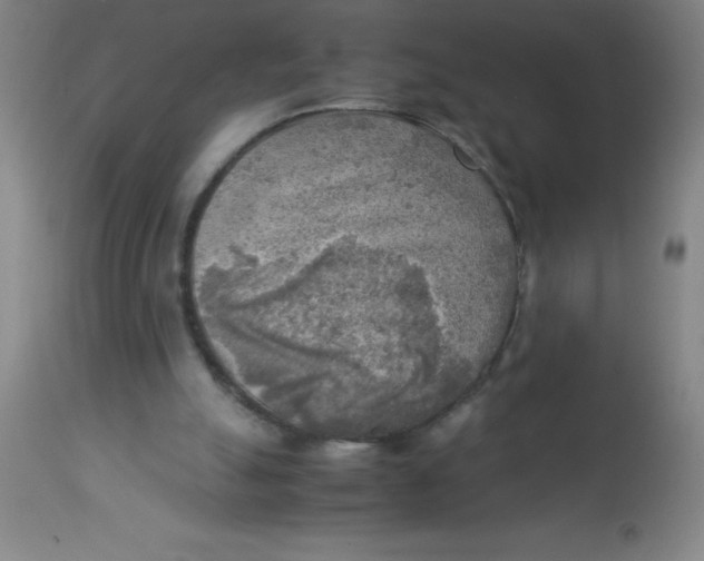 X0000113750055200910211155