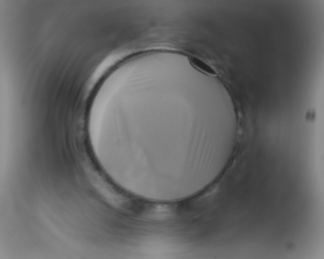 X0000113750056200910211155