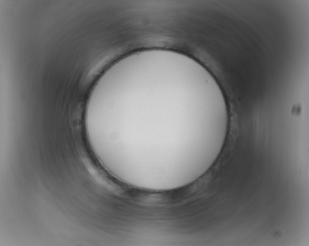 X0000113750058200910211156