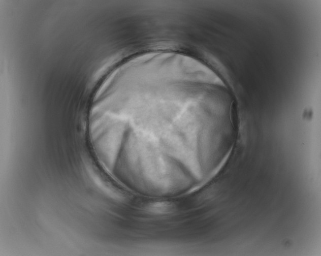 X0000113750059200910211156