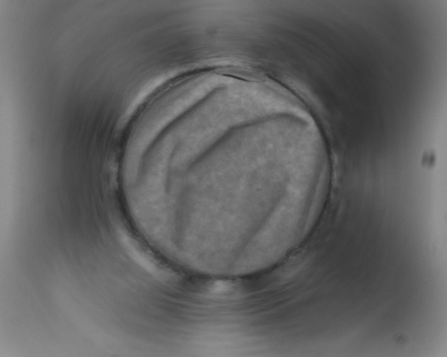 X0000113750060200910211156