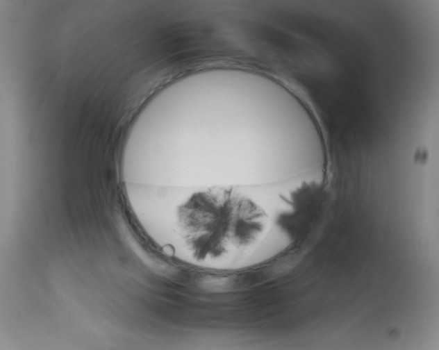 X0000113750061200910211156