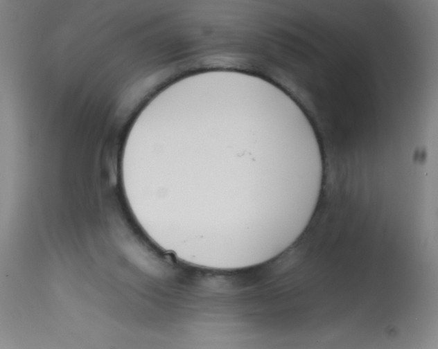 X0000113750062200910211156