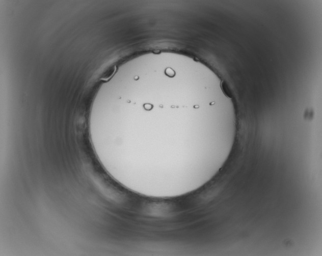 X0000113750063200910211156