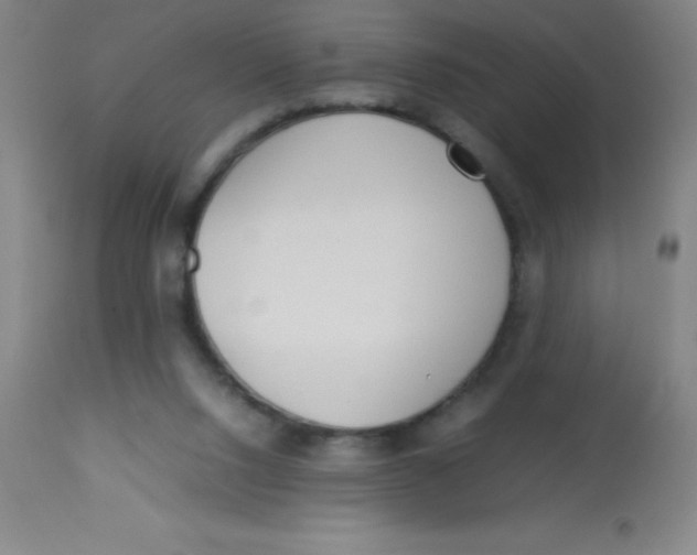 X0000113750064200910211156