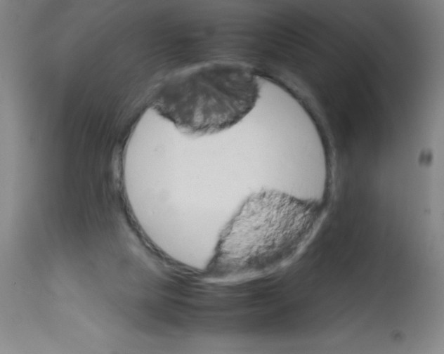 X0000113750065200910211156