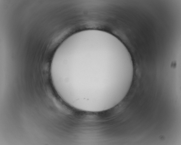 X0000113750066200910211156