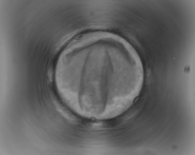 X0000113750068200910211156