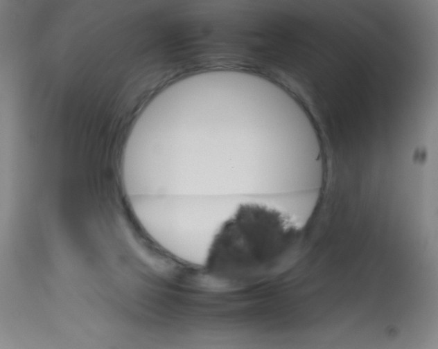 X0000113750069200910211156