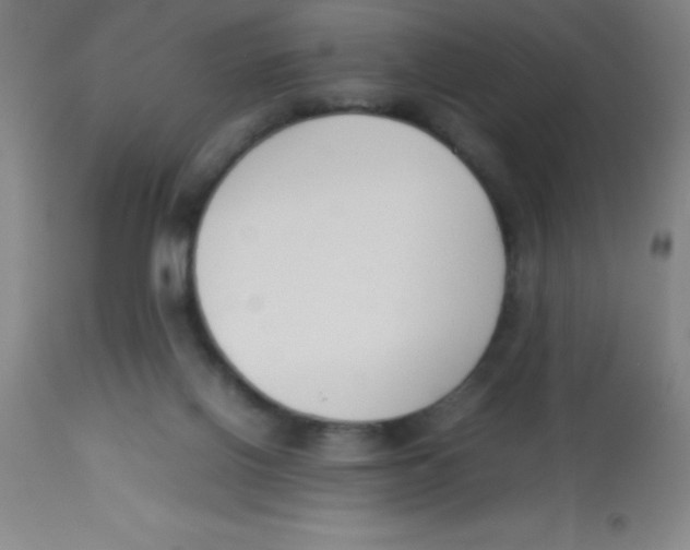 X0000113750070200910211156