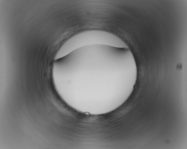 X0000113750072200910211156