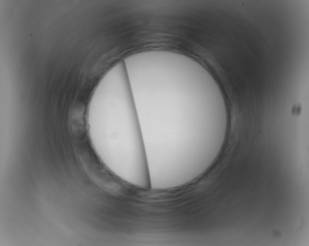 X0000113750073200910211156