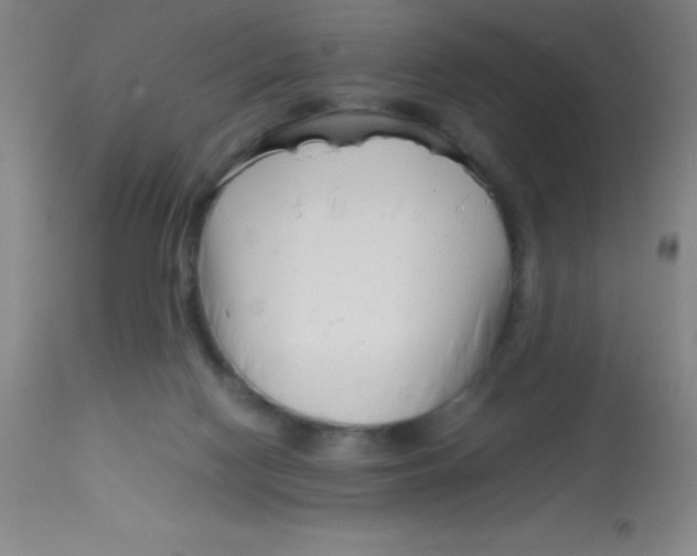 X0000113750074200910211156