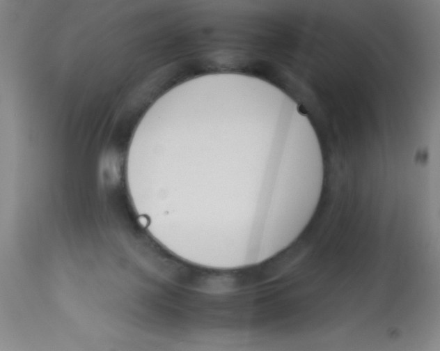 X0000113750075200910211156