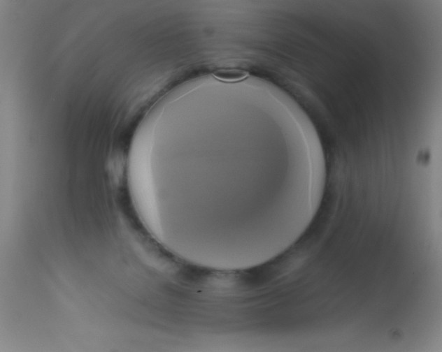 X0000113750076200910211156