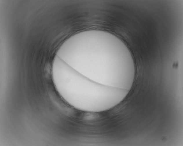 X0000113750077200910211156