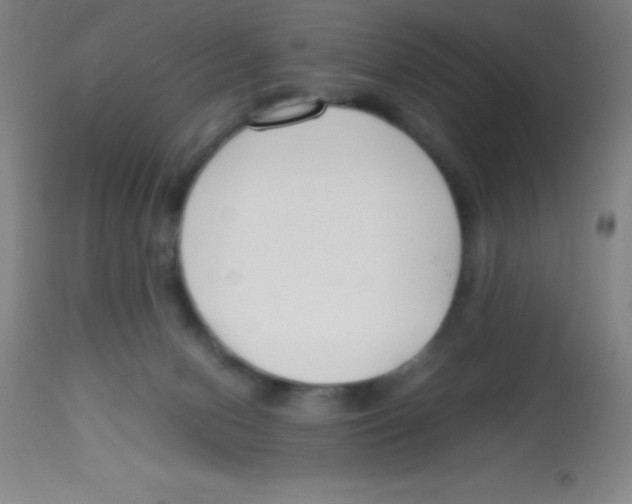 X0000113750078200910211156