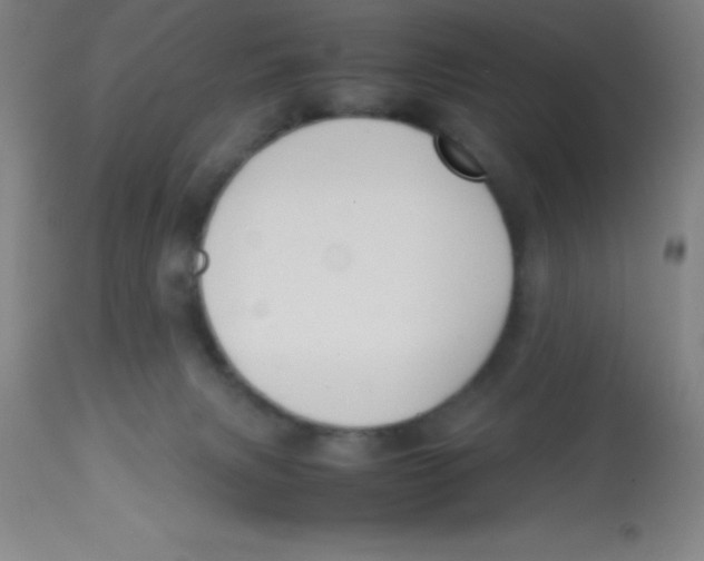 X0000113750079200910211156