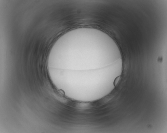 X0000113750081200910211156